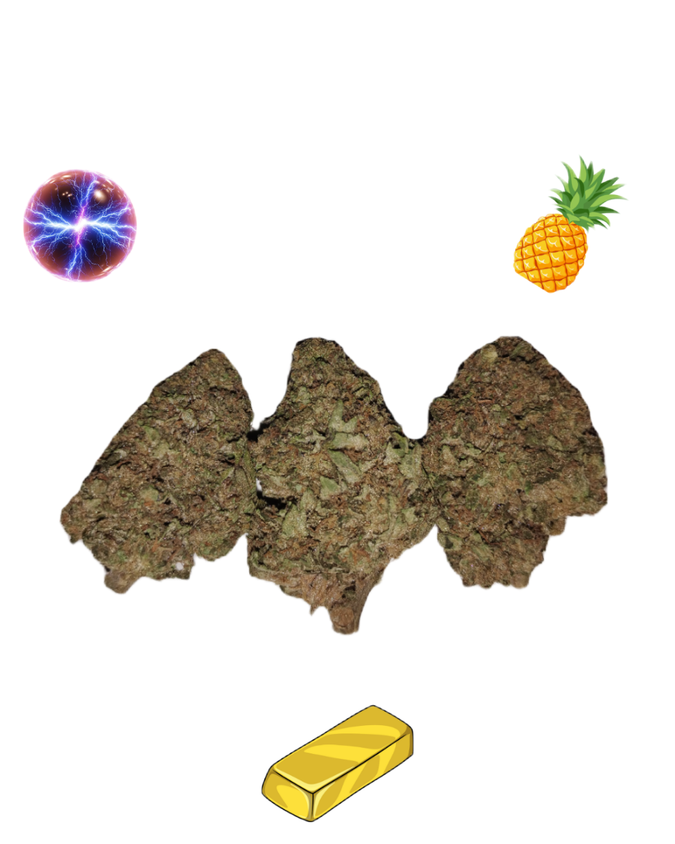 Plasma Pineapple-Gold Tier-THCa(Hybrid-S) / 3.5g